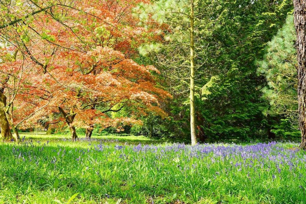 Cotswold Manor House - Country House Retreat With Hot Tub, Ideal For Large Groups Petty France 외부 사진